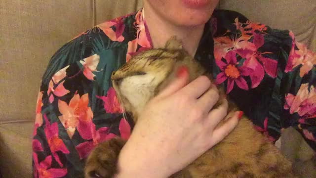 Edgar, my friend’s chonk, loves a relaxing chin massage