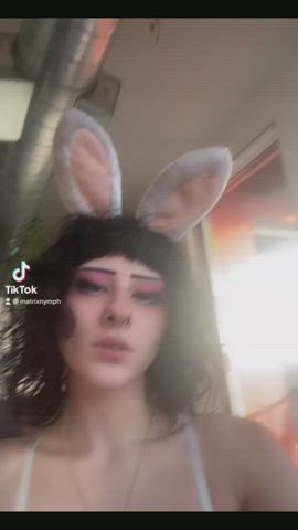 Matrixbunny 🐰