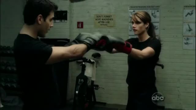 Missy Peregrym boxing