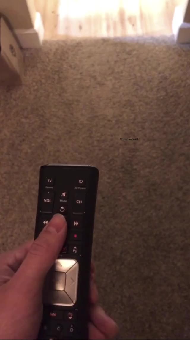WHO WANTS THIS TV remote ? (??FREE LINK MEGA IN THE COMMENTS??)