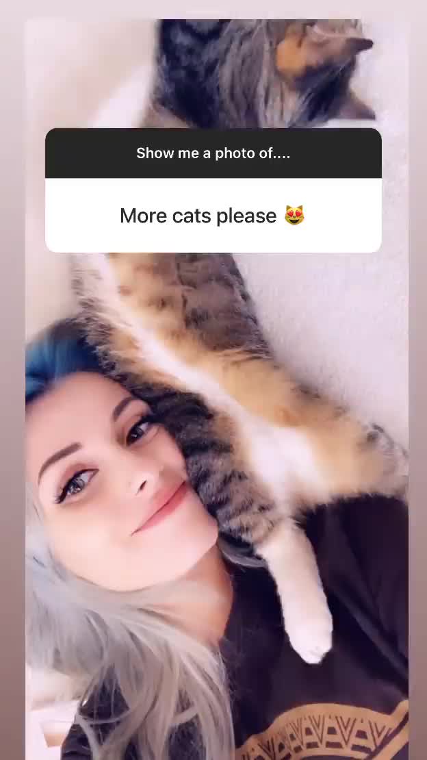 Rolyat gif