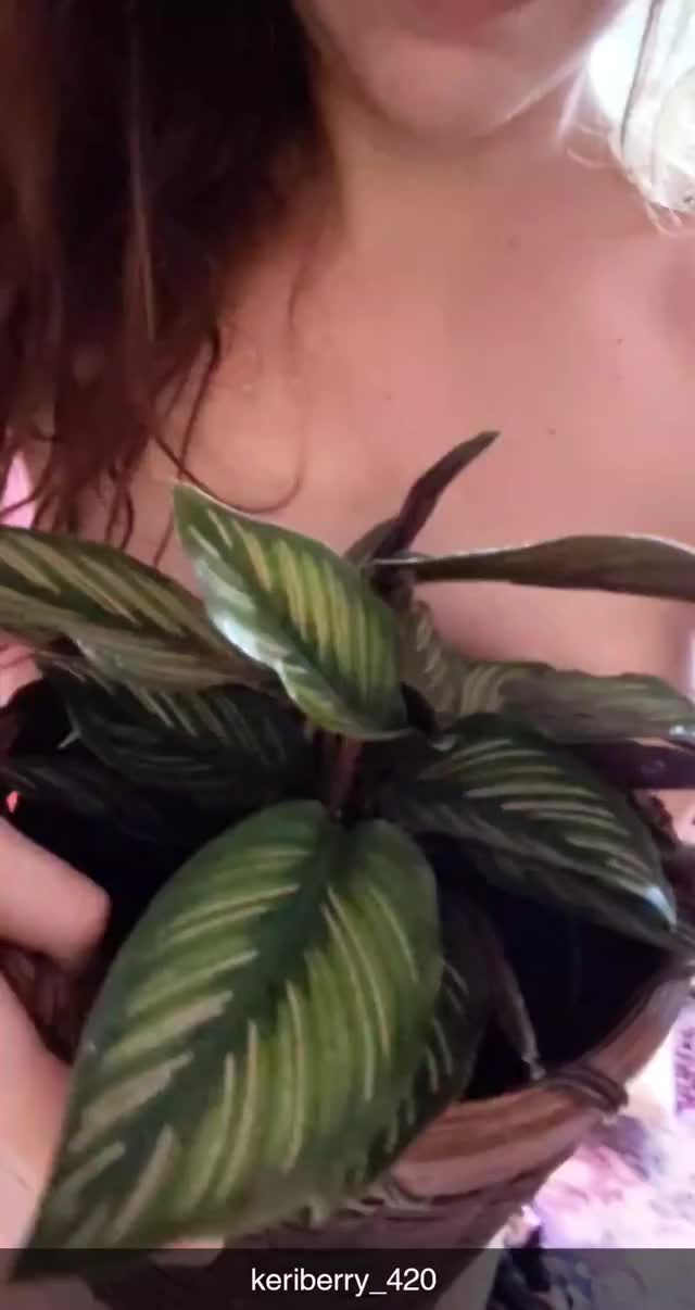 Check out my prayer plant, and pray for your sins (f) 39