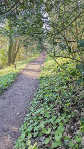 gorgeous day today 🌞 decided to go out and play 🌳 and was unexpectedly joined