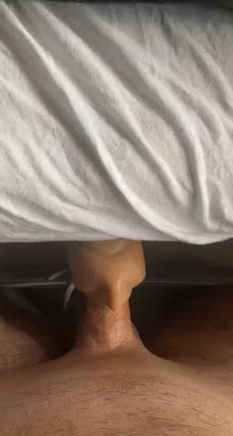 Fleshlight German Pussy gif