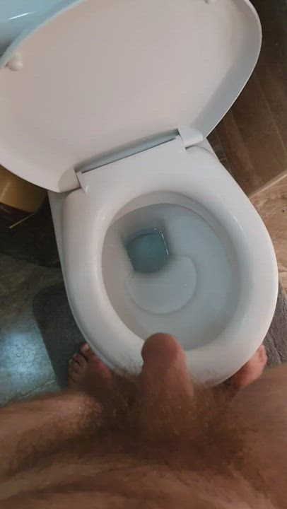 Cock Pee Peeing Piss Pissing Toilet gif