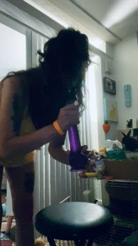 amateur dildo silly gif