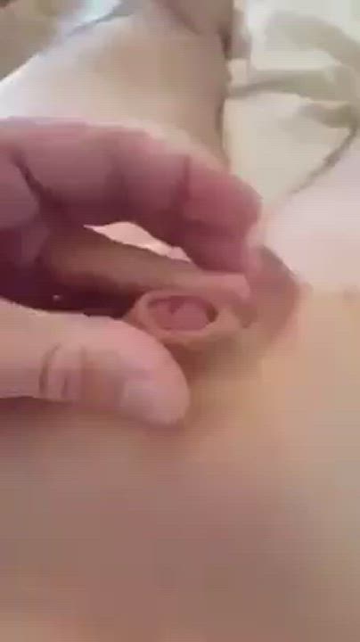 Extra Small Little Dick Penis gif
