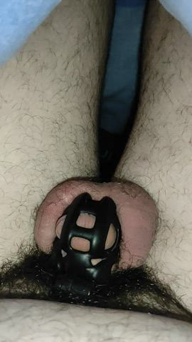 chastity puppy slave gif