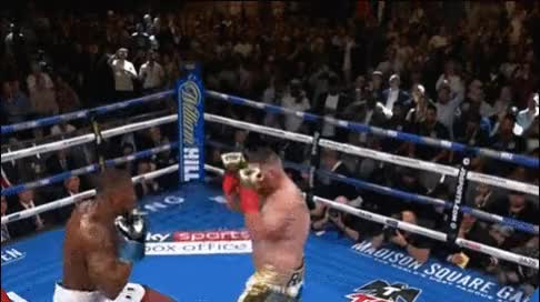 ANDY RUIZ 007 XDEIOS