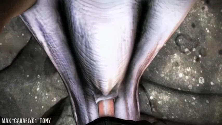 anal animation nsfw pov gif