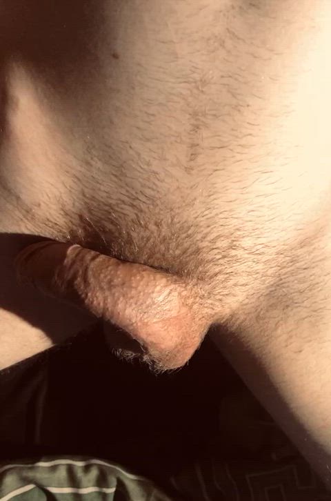 cock erection penis solo tease trimmed twink gay real-cock twinks gif