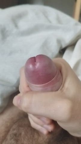 Morning cum