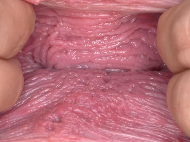 close up fingering gyno pussy solo tease gif