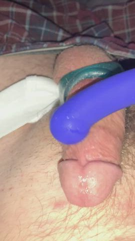 cock uncut underwear vibrator gif