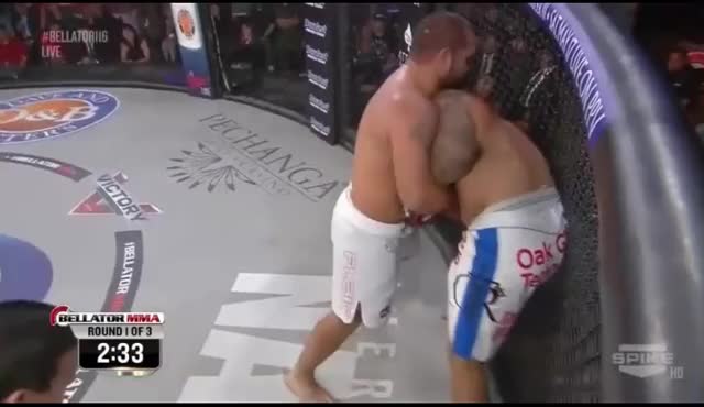 Blagoy Ivanov vs Lavar Johnson | Slam