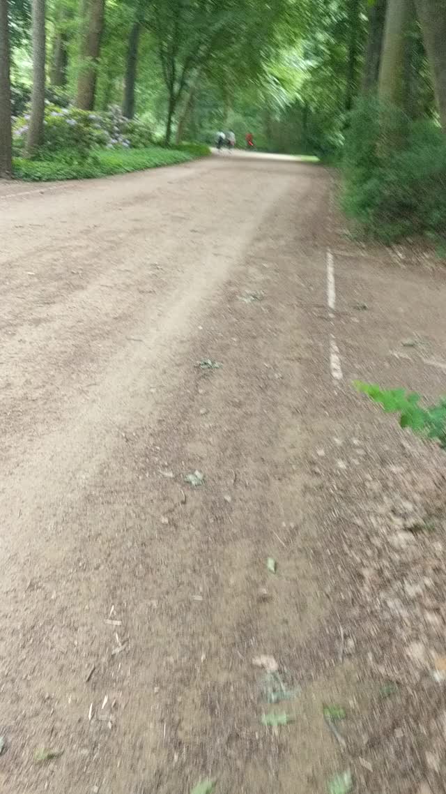 Out on the trail with girls in front