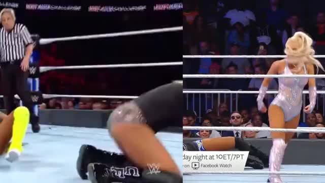 WWE Diva Lana Twerk