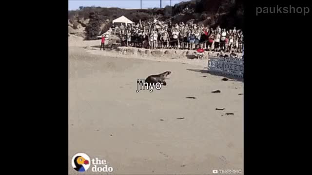 jihyo getting mina out of the house