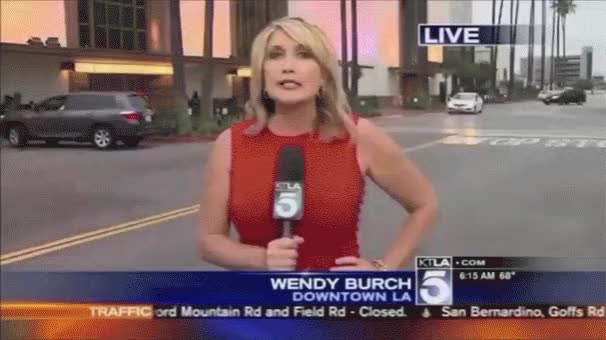 Reporter Startled