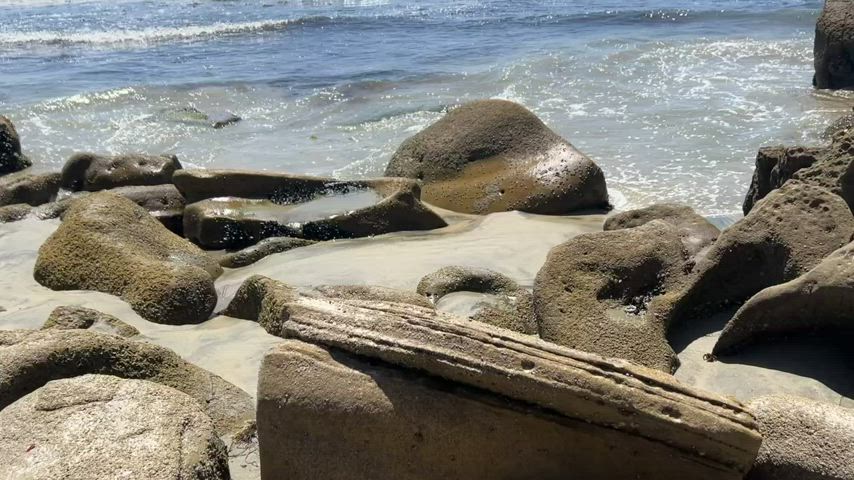 Beautiful day at the beach!