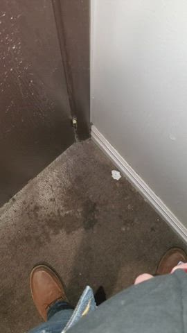 Drunk pissing in my apartment hallway