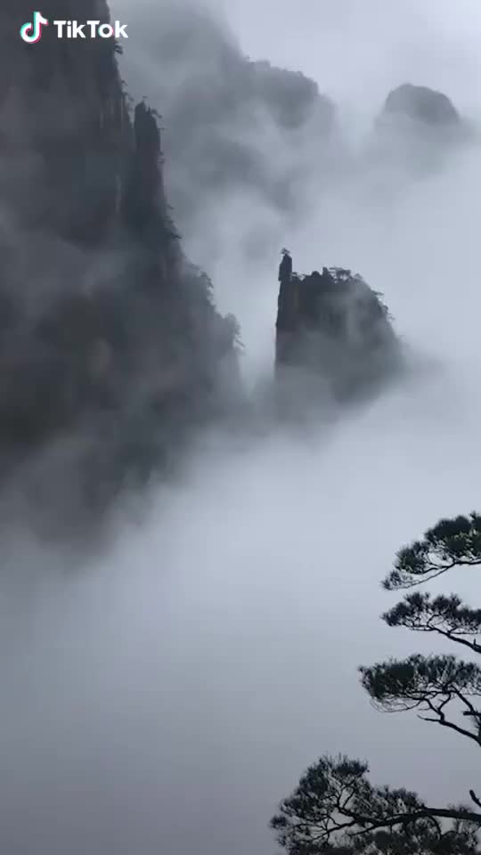 ? a wonderland in china