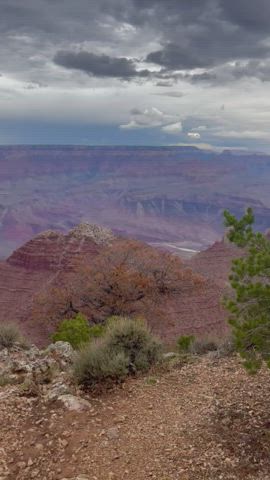 19, fancy coming on a trip to the Grand Canyon with me?