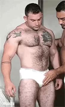 Muscle bear appreciation ...