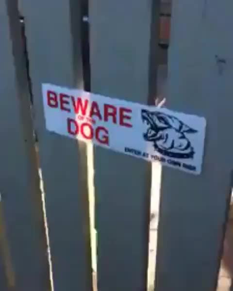 Beware of dog