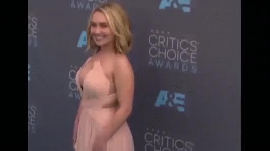 Big Tits Celebrity Hayden Panettiere Huge Tits gif