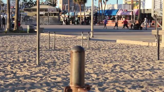 BITCH BODY WORKOUT at Venice Beach