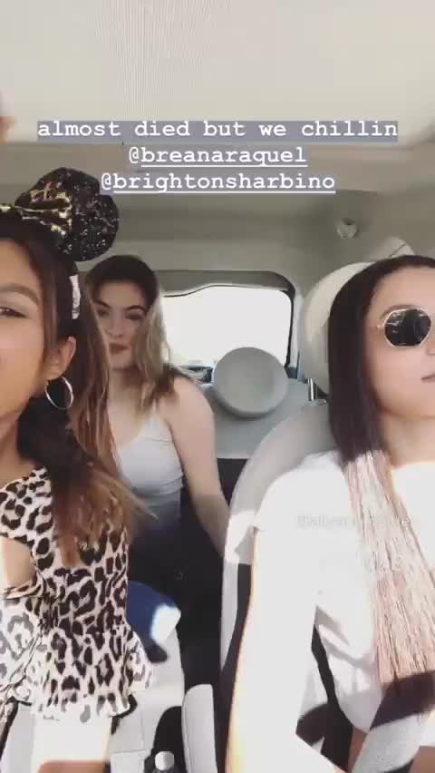 Brighton Sharbino