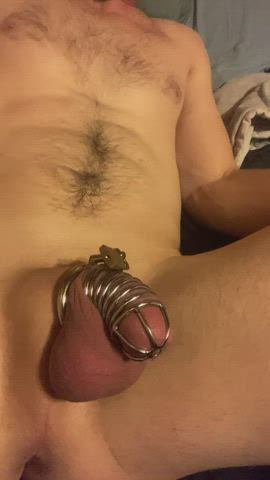BDSM Chastity Slave gif