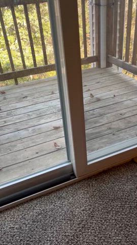 Pumped t dick in front of my open patio door