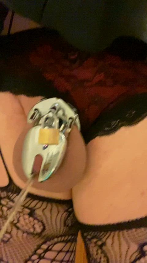 caged chastity femme lingerie pee peeing piss pissing sissy sissy slut gif