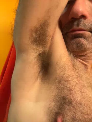 armpits gay hairy armpits gif