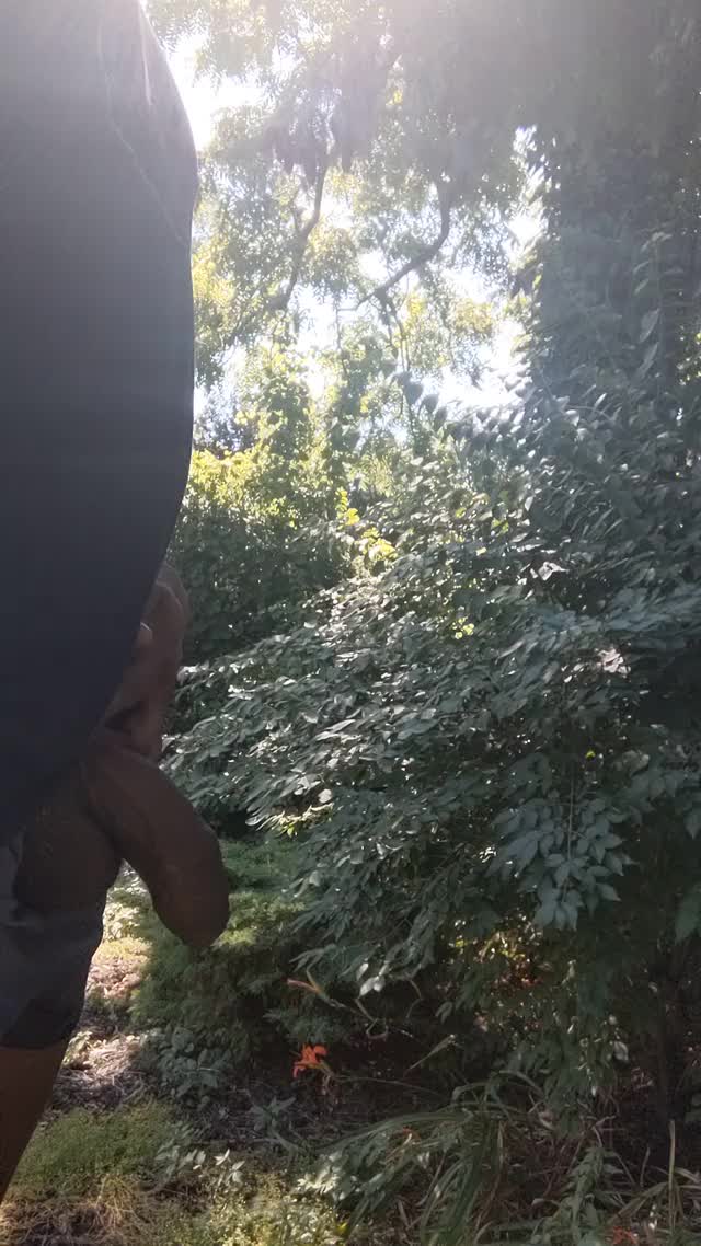 Backyard morning piss