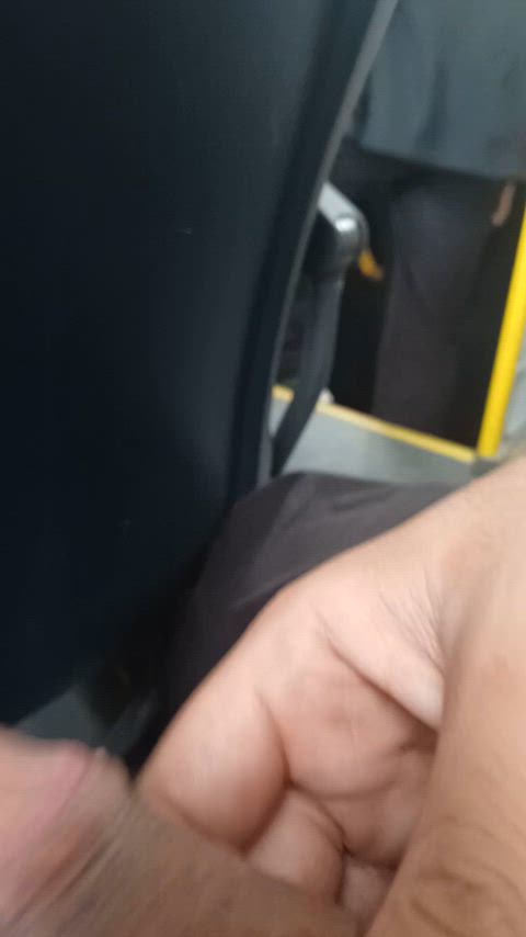 bus male masturbation masturbating public solo gif