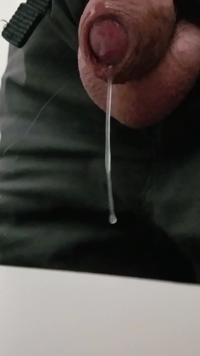 Dripping Cum