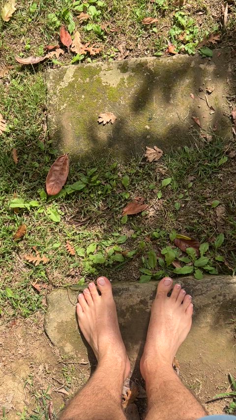 Would you like to walk with me on the old stairs on a bright day?