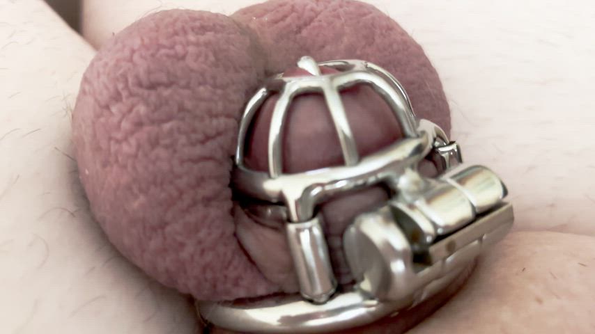 Useless attempts to get hard in a small chastity cage 😖