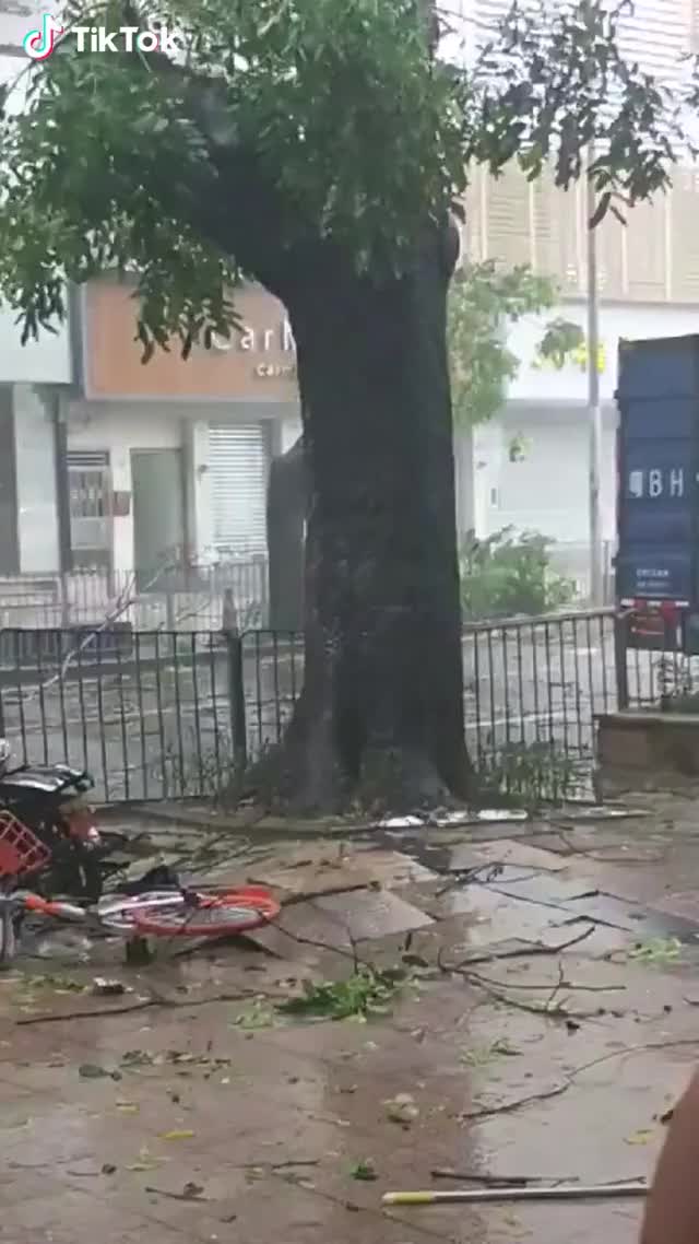 Typhoon in Shenzhen, China