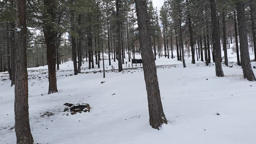 Fucking in the snow