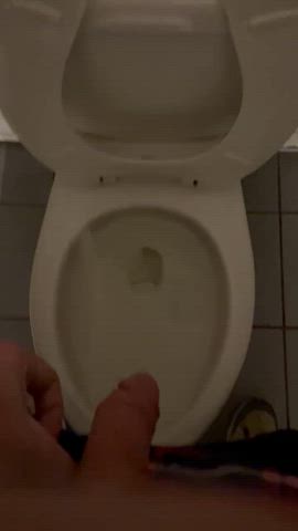 cock pissing toilet gif