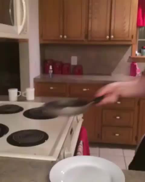 Flipping an omelette