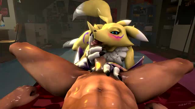 another renamon succ