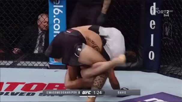 Zabit Submission