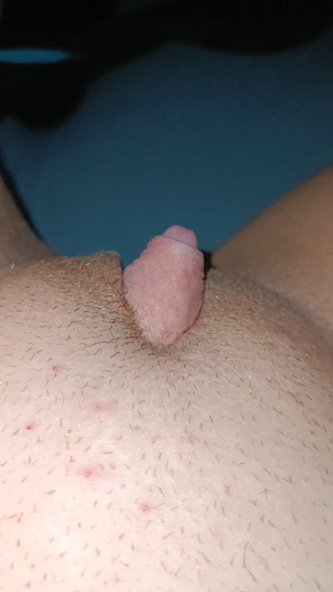 jerking my hard little t-dick for you hoping it gets you hard too