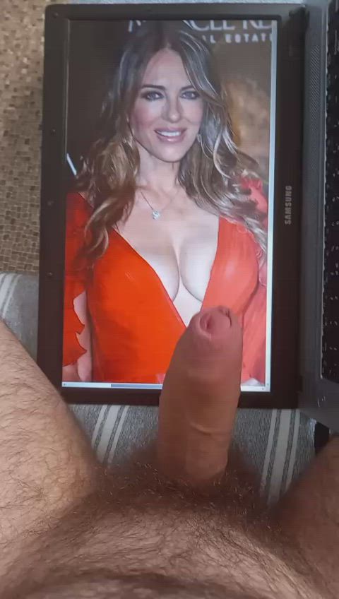 Elizabeth Hurley tribute