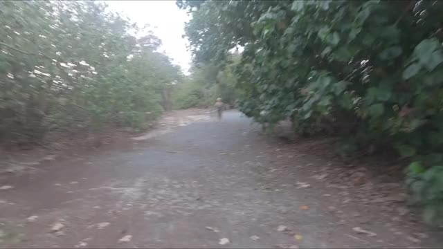 Boobs out Nature walk at Main Beach Qld ? xx 55yo [F] (OC)??